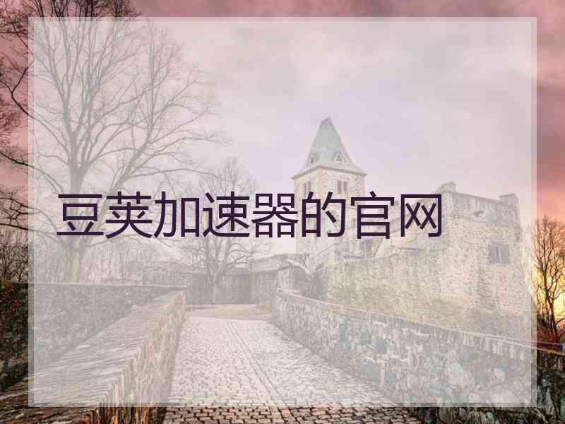 豆荚加速器的官网