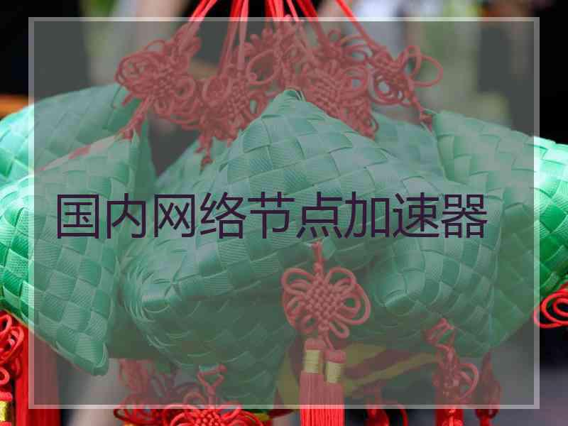国内网络节点加速器