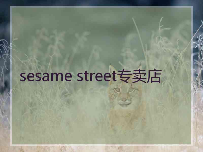 sesame street专卖店