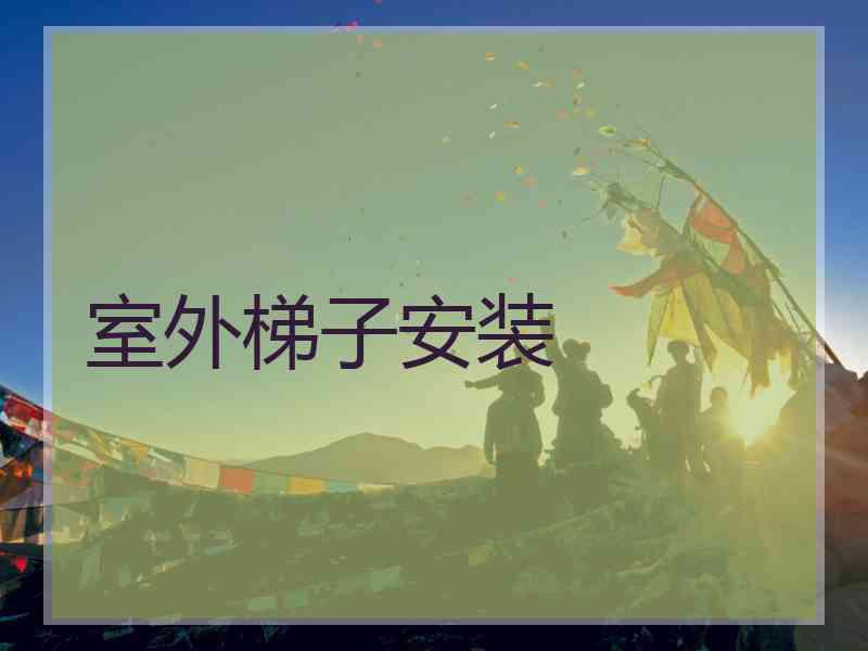 室外梯子安装