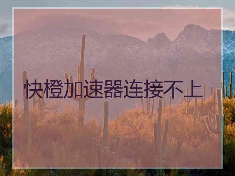 快橙加速器连接不上