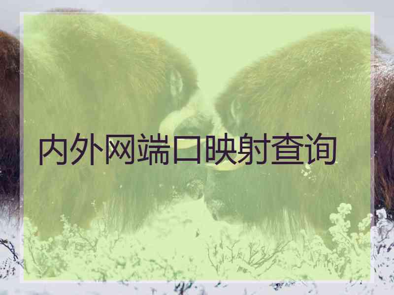 内外网端口映射查询