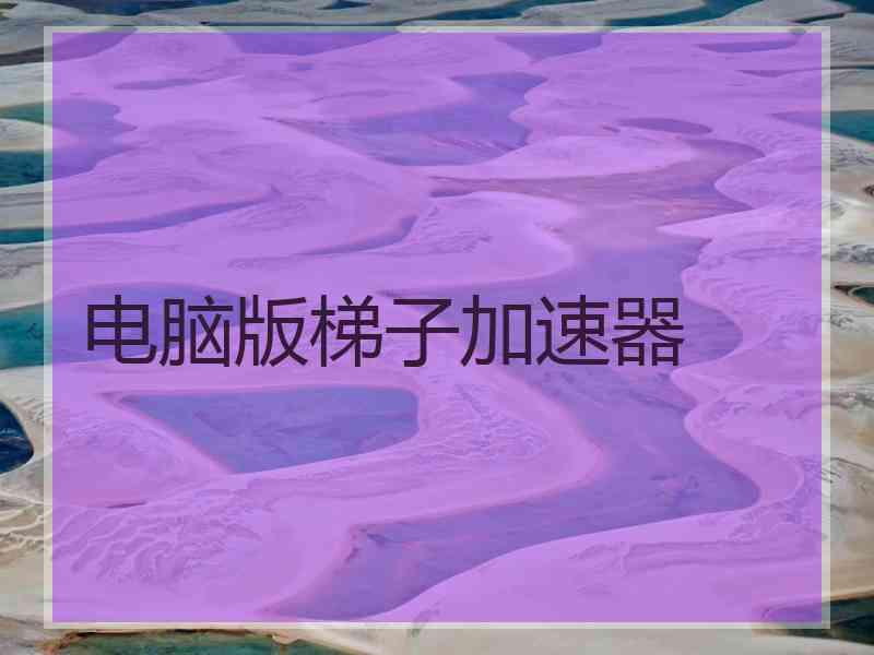 电脑版梯子加速器