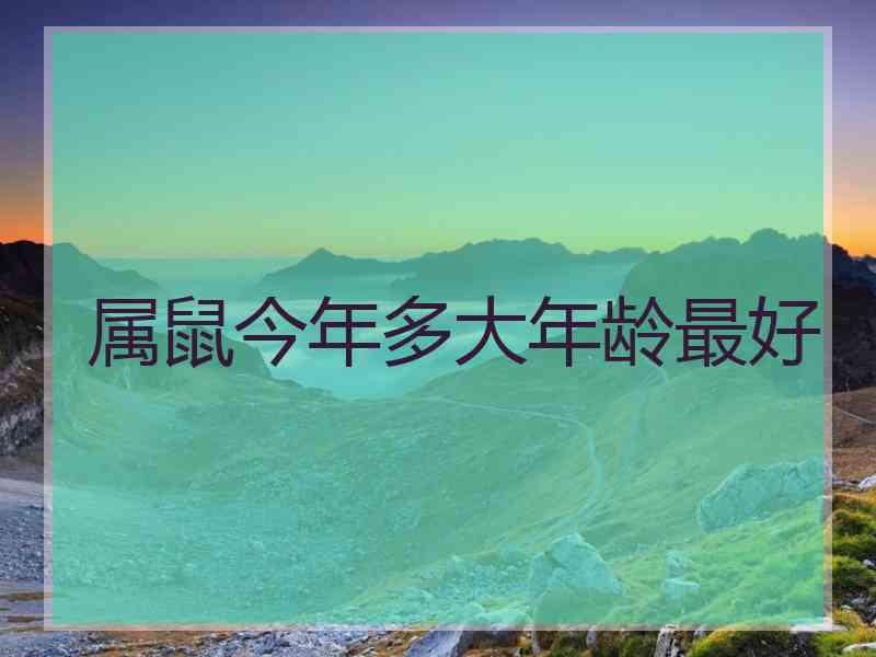 属鼠今年多大年龄最好