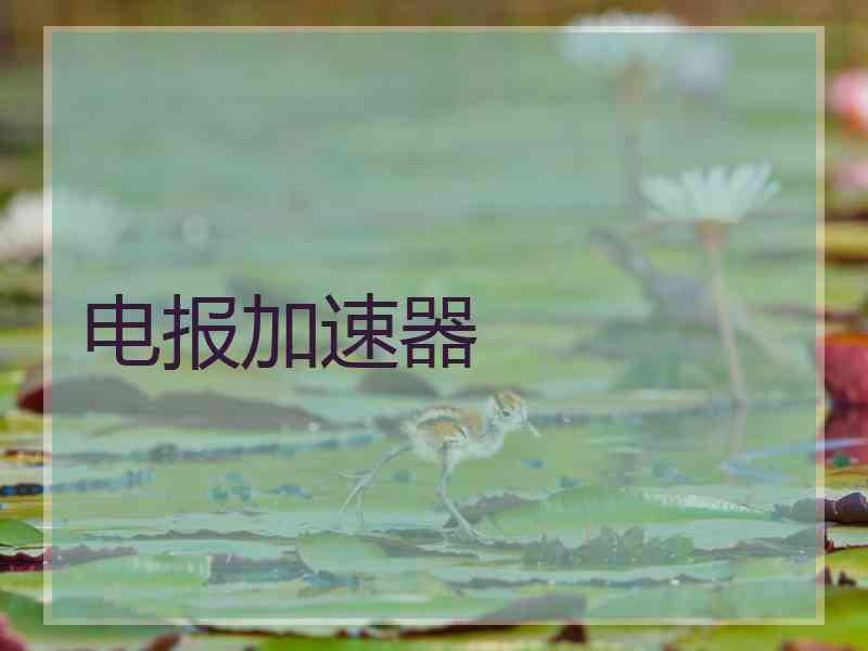 电报加速器