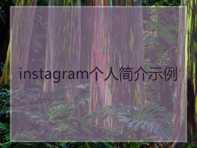 instagram个人简介示例
