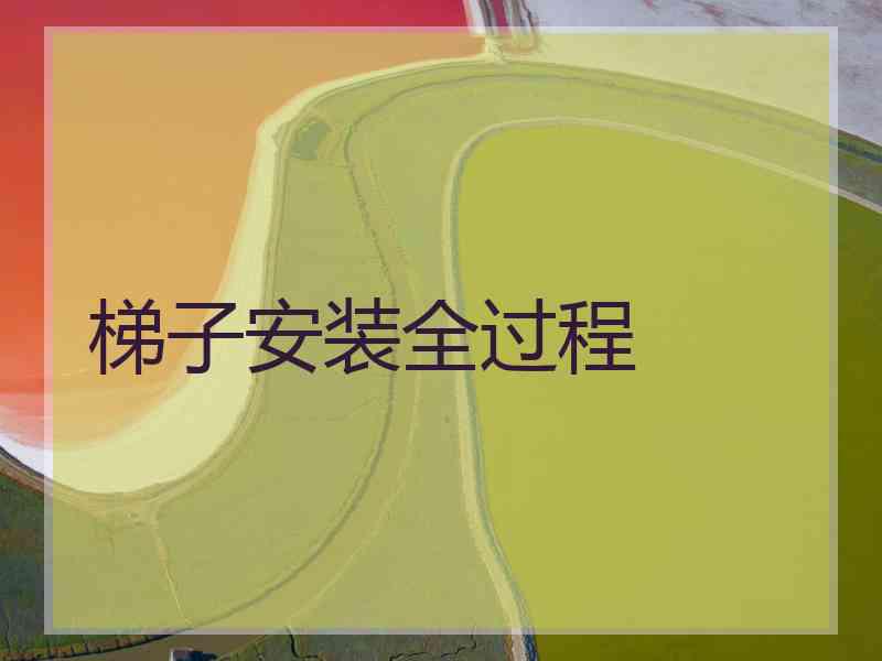 梯子安装全过程