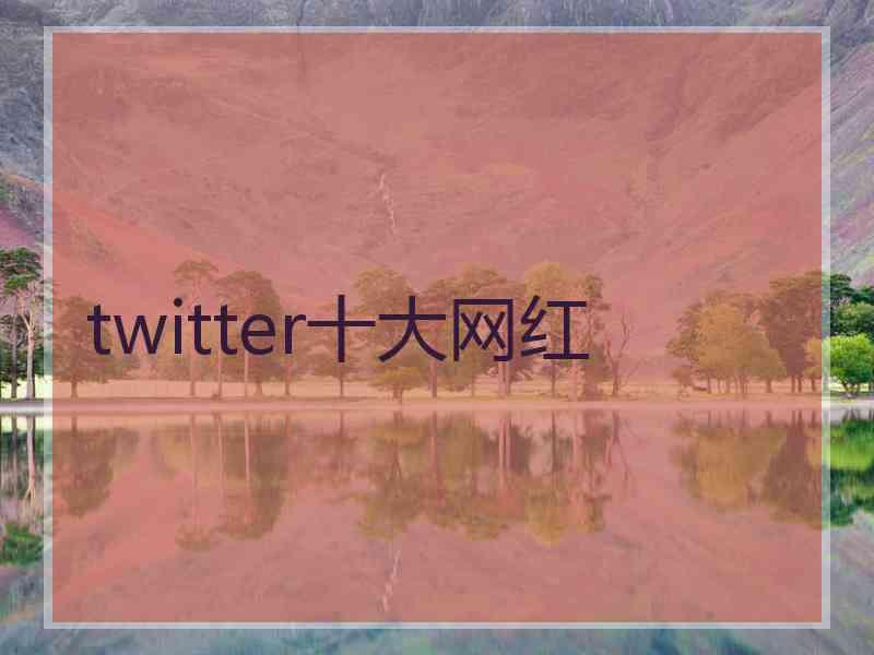 twitter十大网红