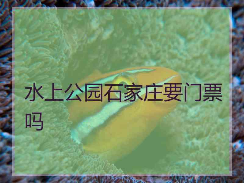 水上公园石家庄要门票吗