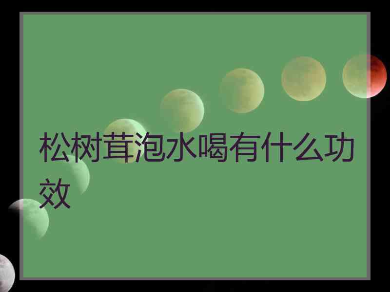 松树茸泡水喝有什么功效