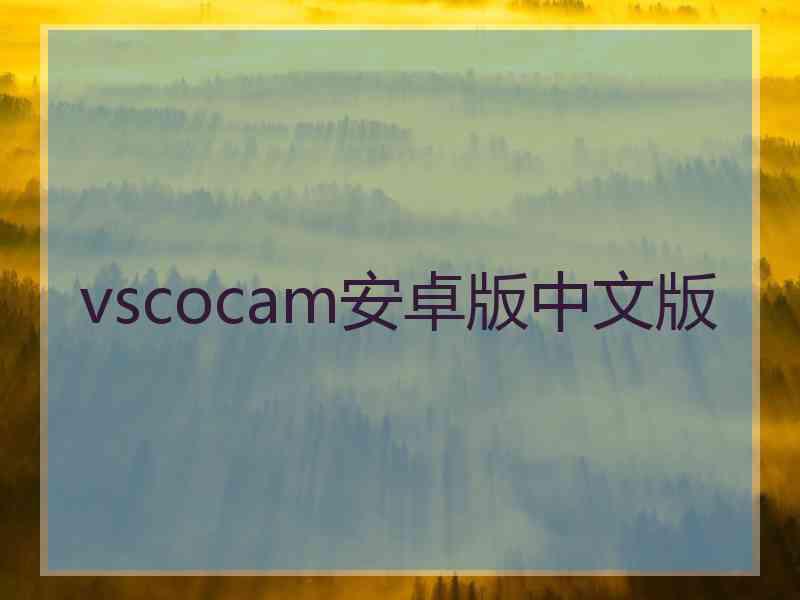 vscocam安卓版中文版