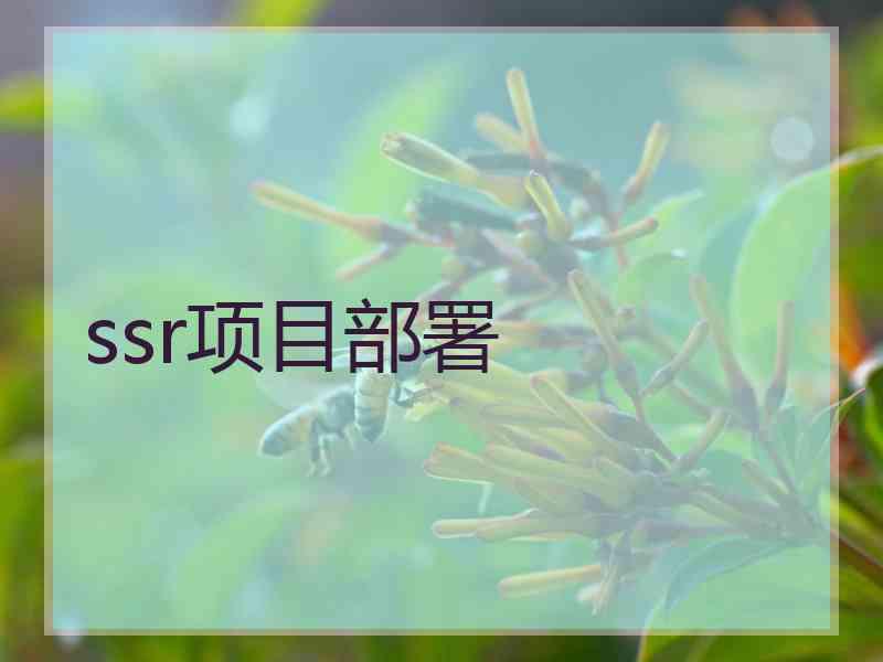 ssr项目部署