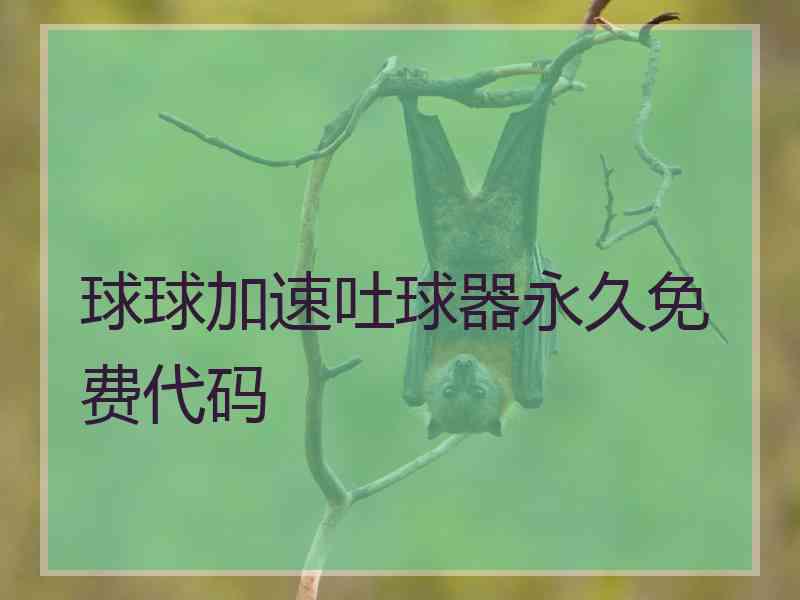 球球加速吐球器永久免费代码