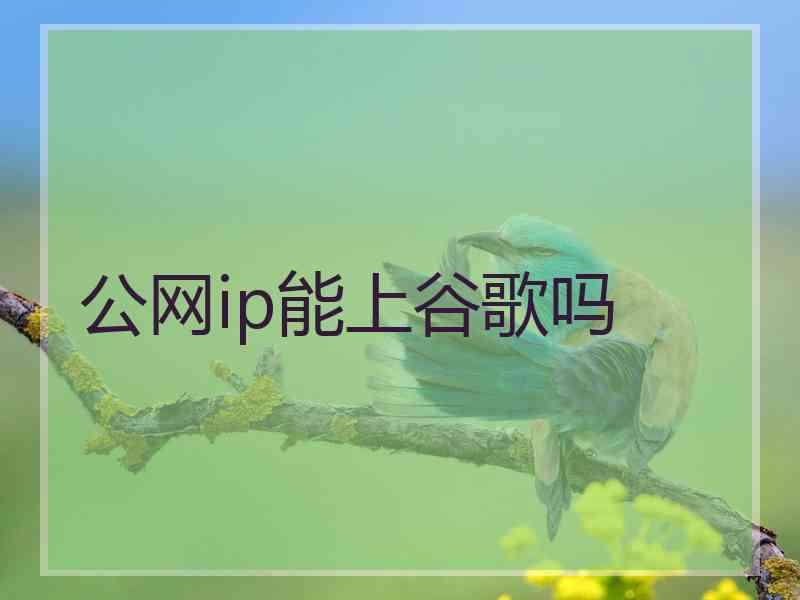 公网ip能上谷歌吗