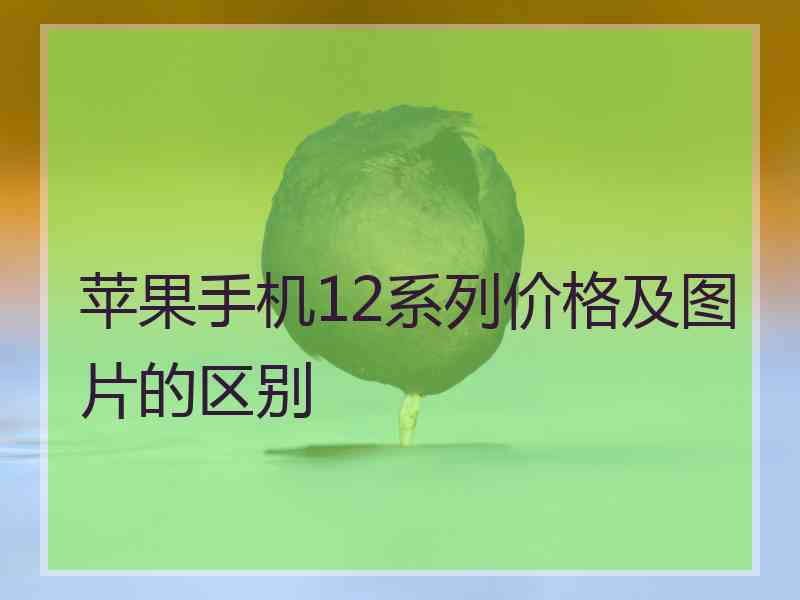 苹果手机12系列价格及图片的区别