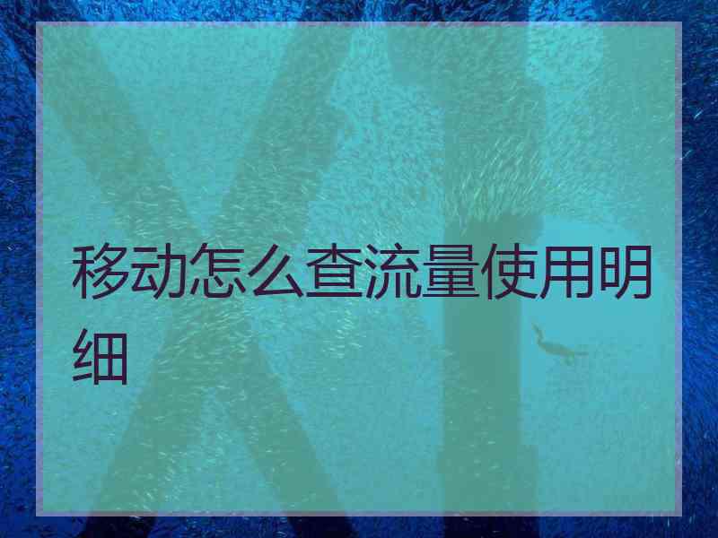 移动怎么查流量使用明细