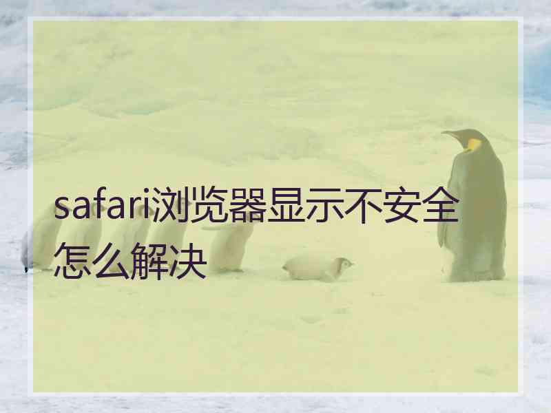 safari浏览器显示不安全怎么解决