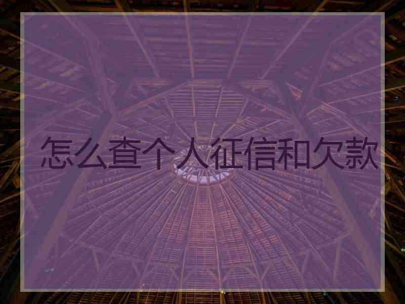 怎么查个人征信和欠款