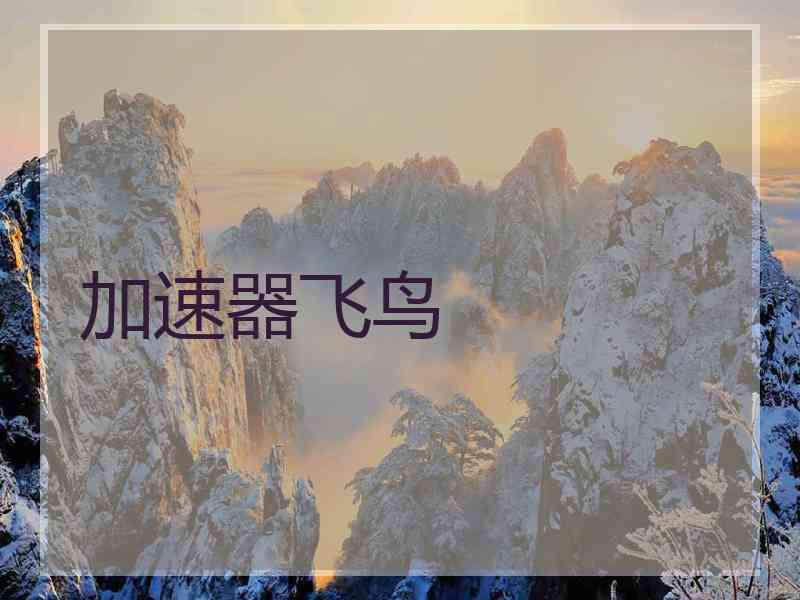 加速器飞鸟