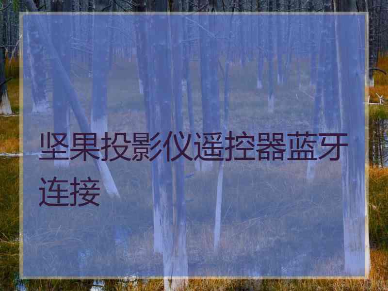 坚果投影仪遥控器蓝牙连接