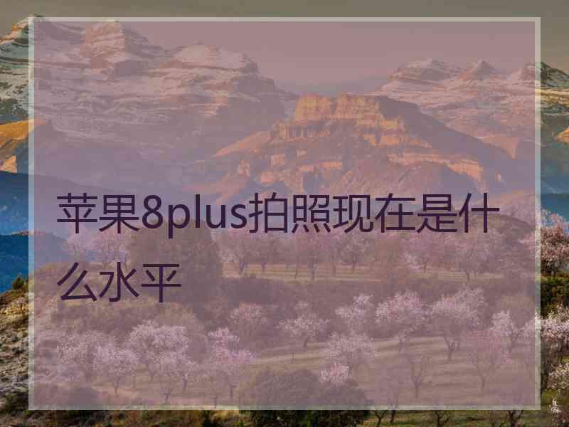 苹果8plus拍照现在是什么水平