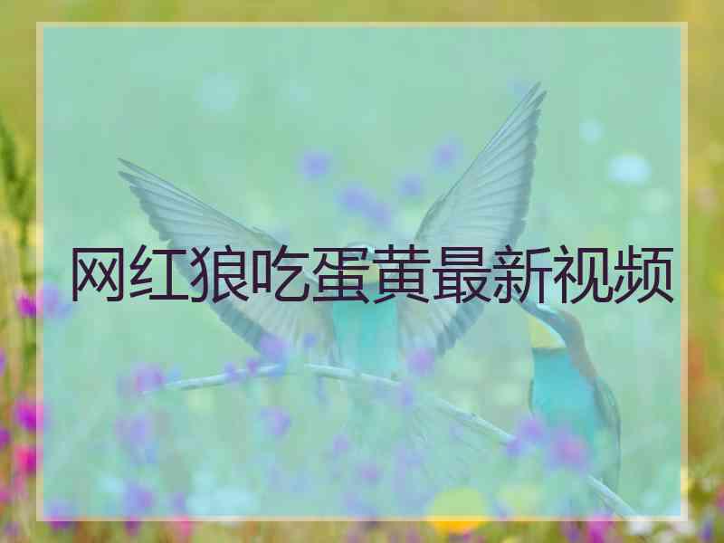 网红狼吃蛋黄最新视频