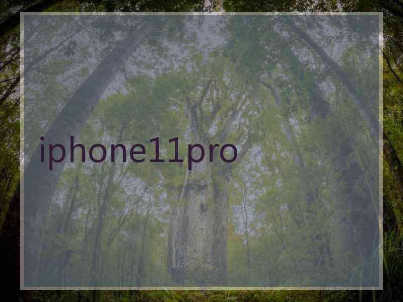 iphone11pro