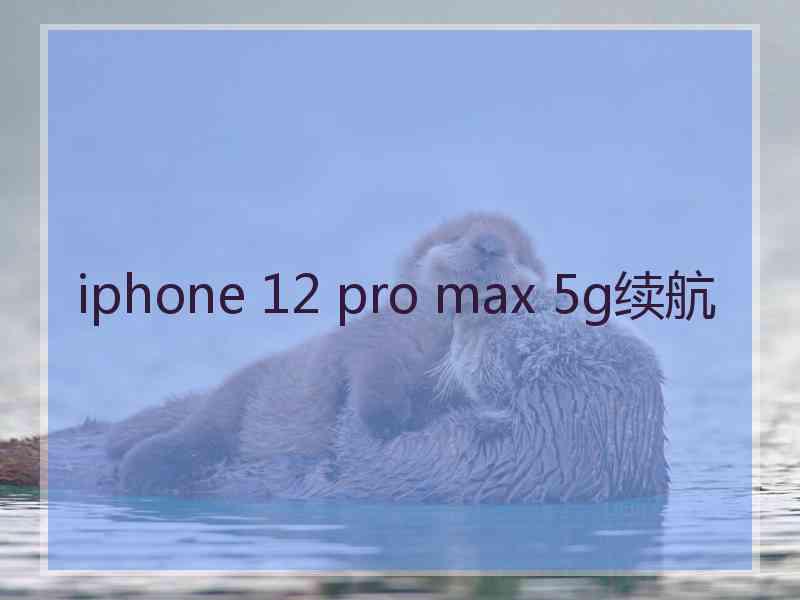 iphone 12 pro max 5g续航