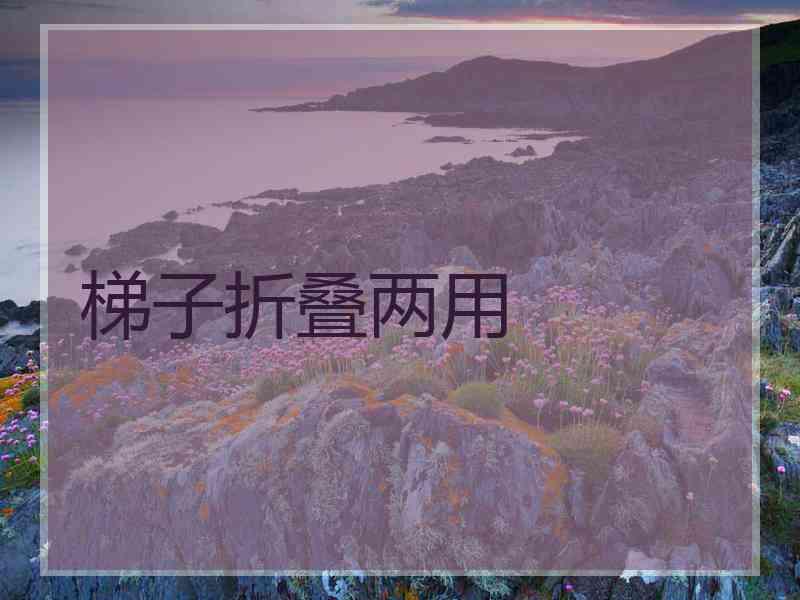 梯子折叠两用