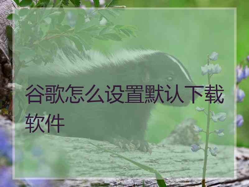 谷歌怎么设置默认下载软件