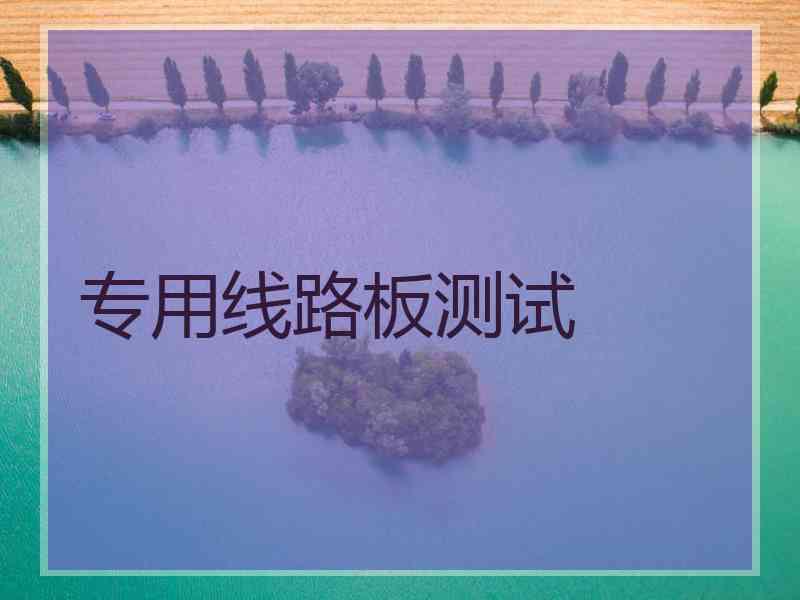 专用线路板测试