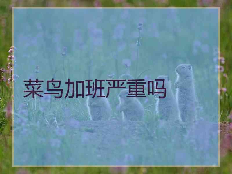 菜鸟加班严重吗