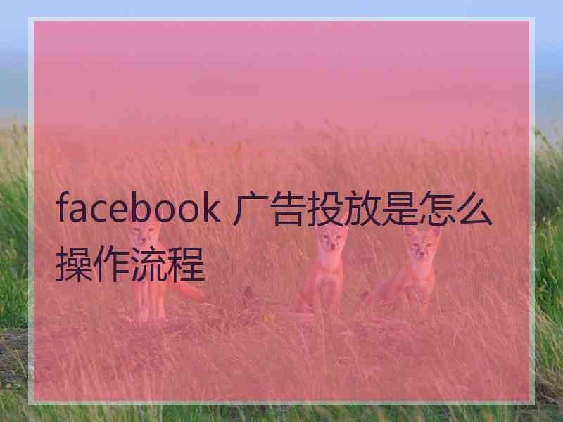 facebook 广告投放是怎么操作流程