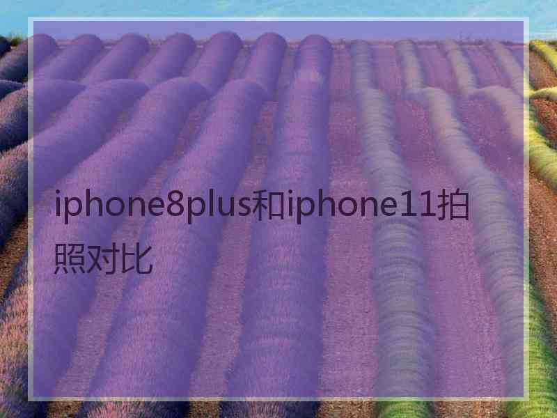 iphone8plus和iphone11拍照对比