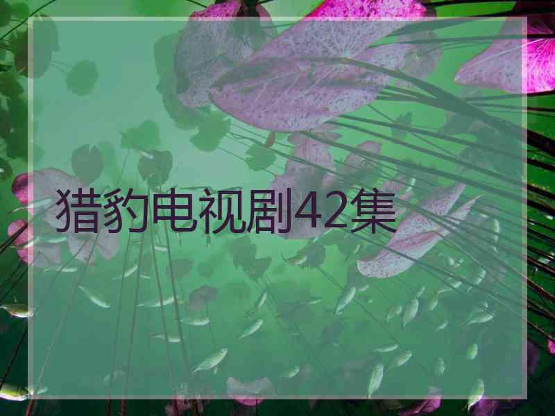 猎豹电视剧42集