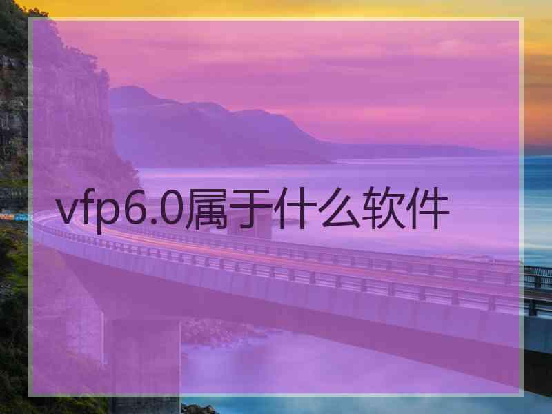 vfp6.0属于什么软件