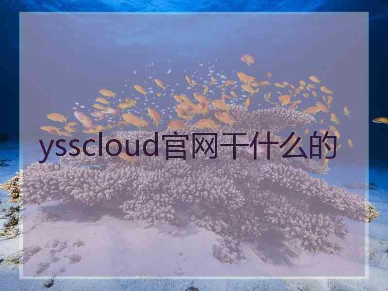 ysscloud官网干什么的