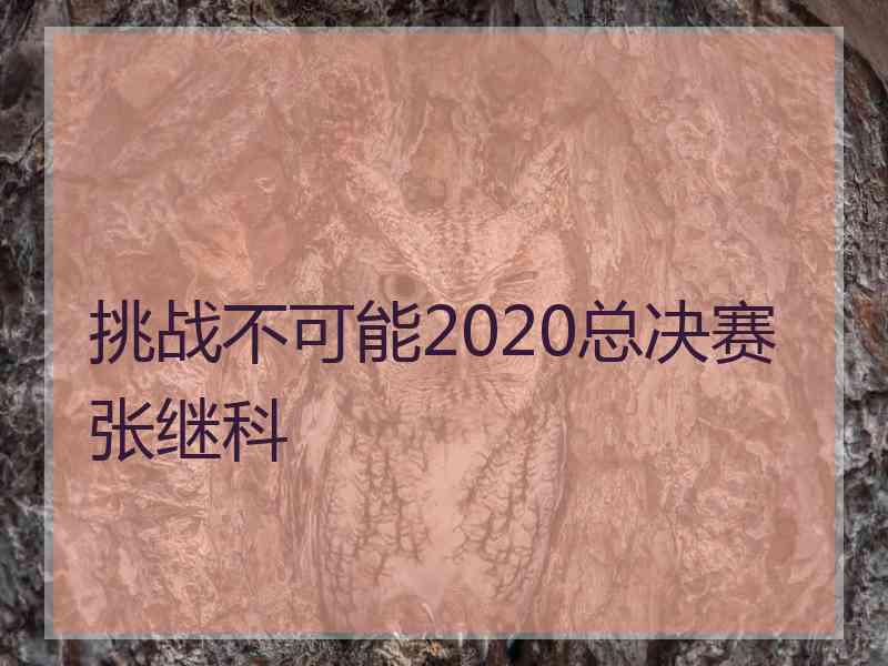 挑战不可能2020总决赛张继科