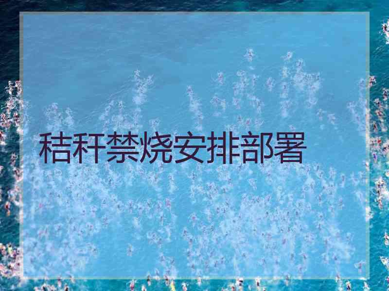 秸秆禁烧安排部署
