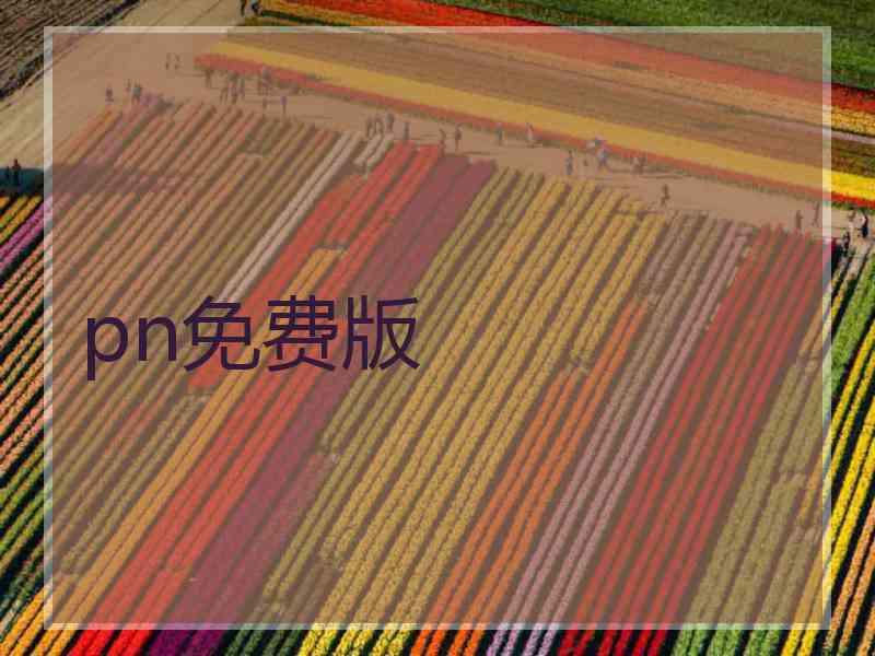 pn免费版