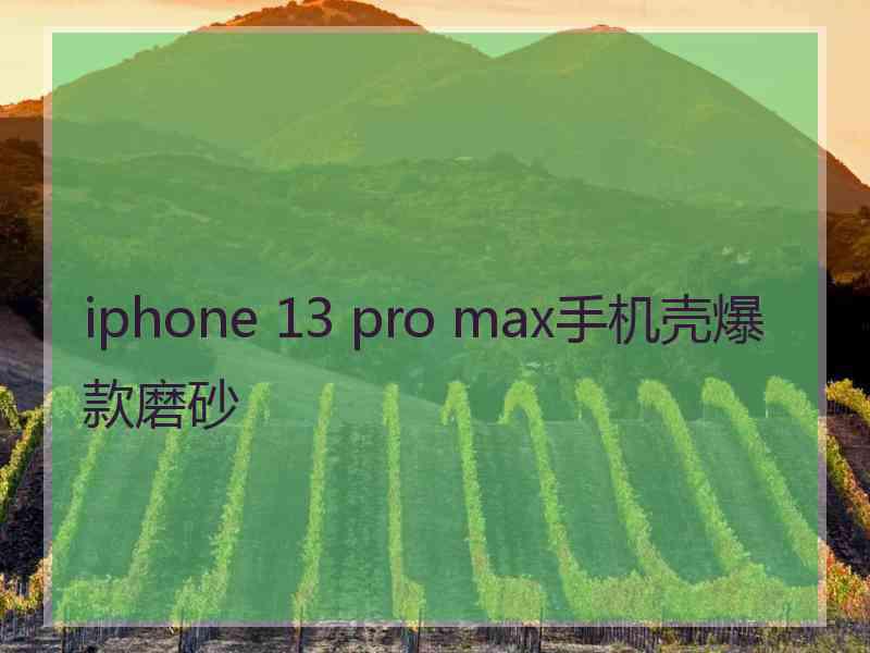 iphone 13 pro max手机壳爆款磨砂