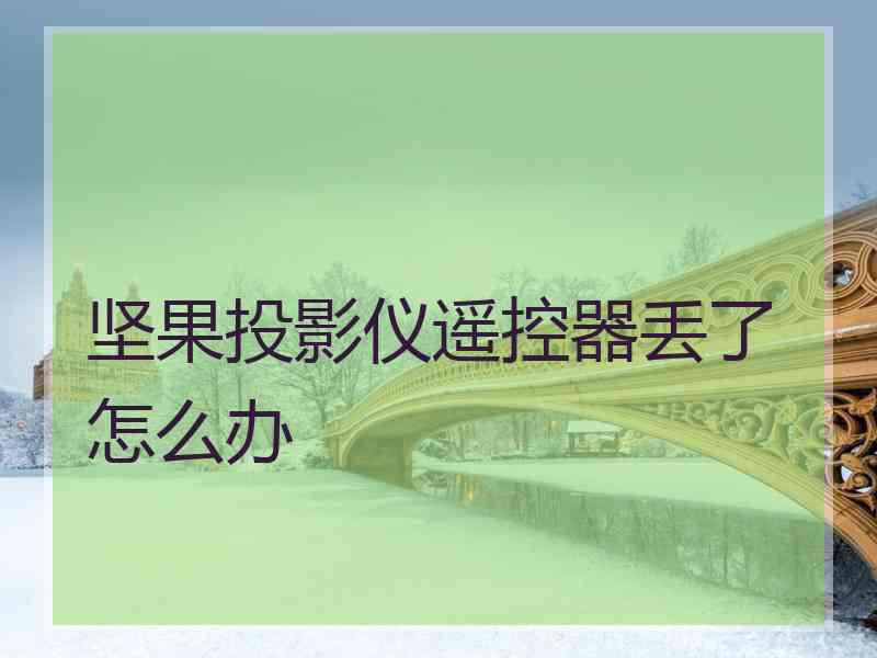 坚果投影仪遥控器丢了怎么办