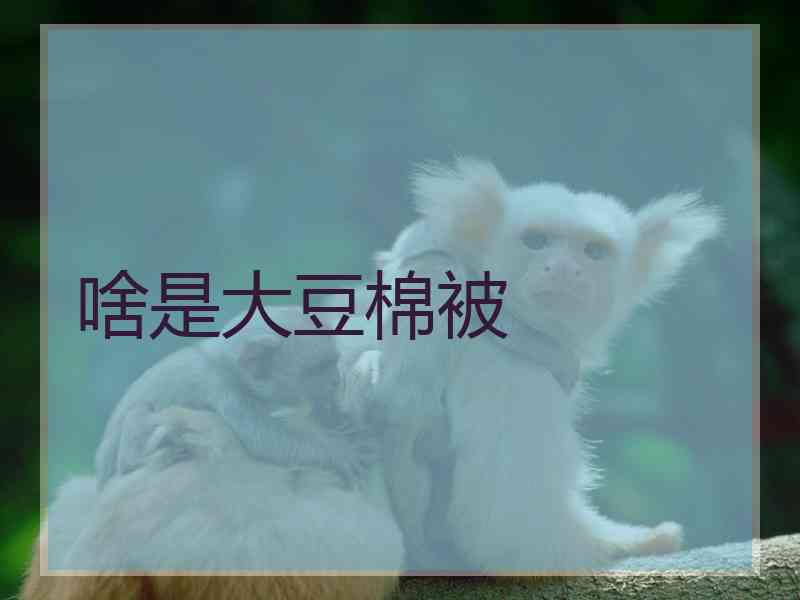 啥是大豆棉被