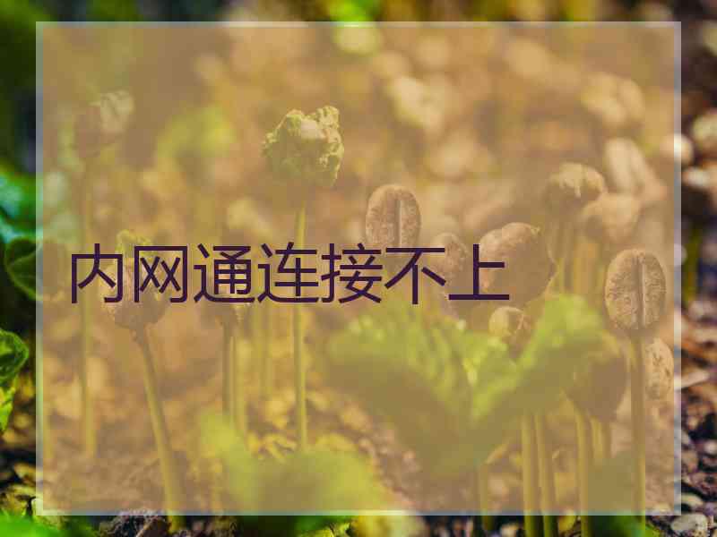 内网通连接不上