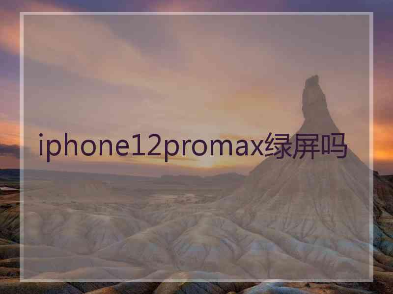 iphone12promax绿屏吗
