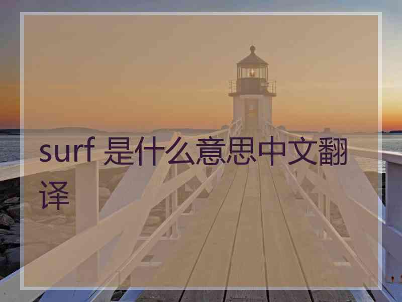 surf 是什么意思中文翻译