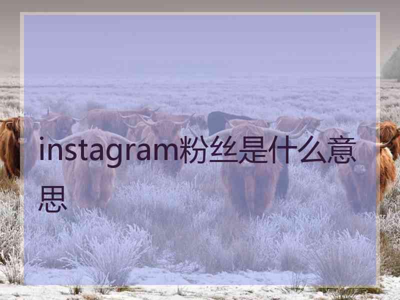 instagram粉丝是什么意思