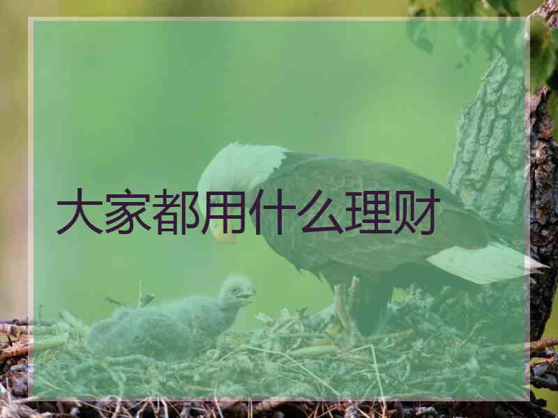 大家都用什么理财