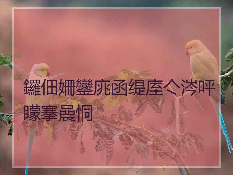 鑼佃姍鑾庣函缇庢亽涔呯矇搴曟恫