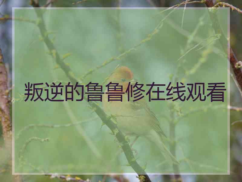 叛逆的鲁鲁修在线观看